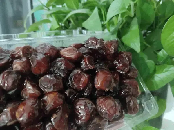 راهنمای خرید خرما مضافتی صادراتی + قیمت عالی