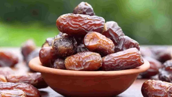 قیمت خرید خرما مضافتی درجه یک + مشخصات، عمده ارزان